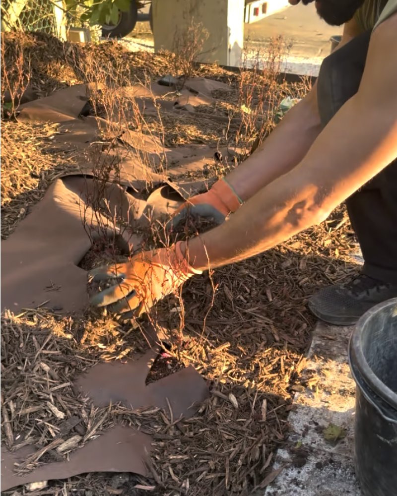 Capture d’écran 2025-05-29 à 14.08.20