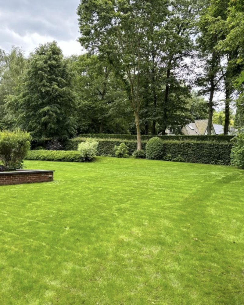 Capture d’écran 2025-09-19 à 15.14.51