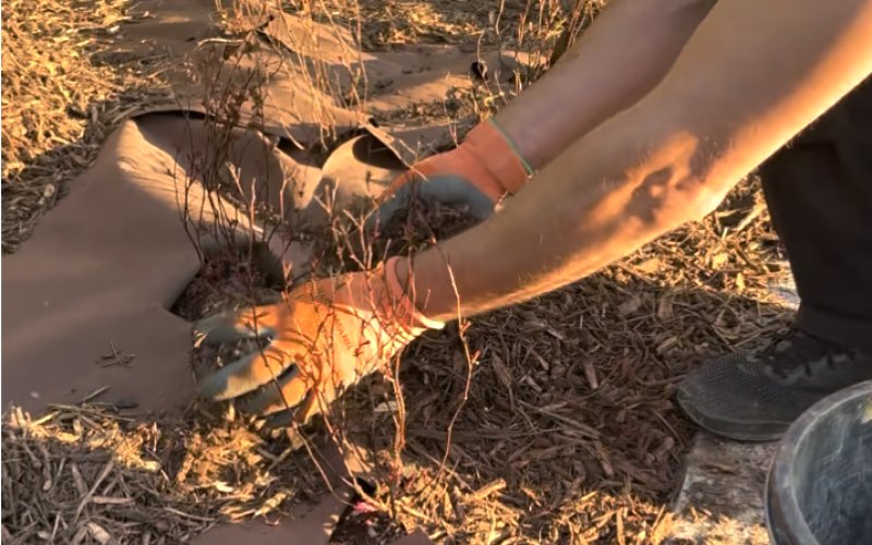 Capture d’écran 2025-05-29 à 14.08.20